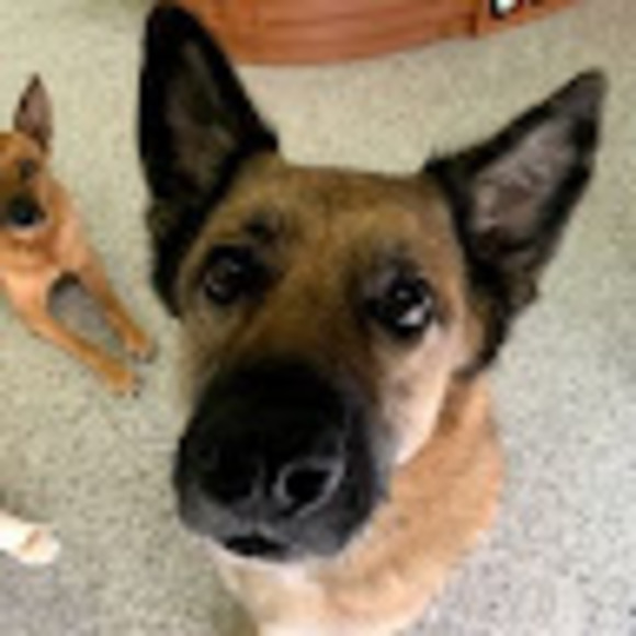 Meet your Posher, A - Picture 1 of 1